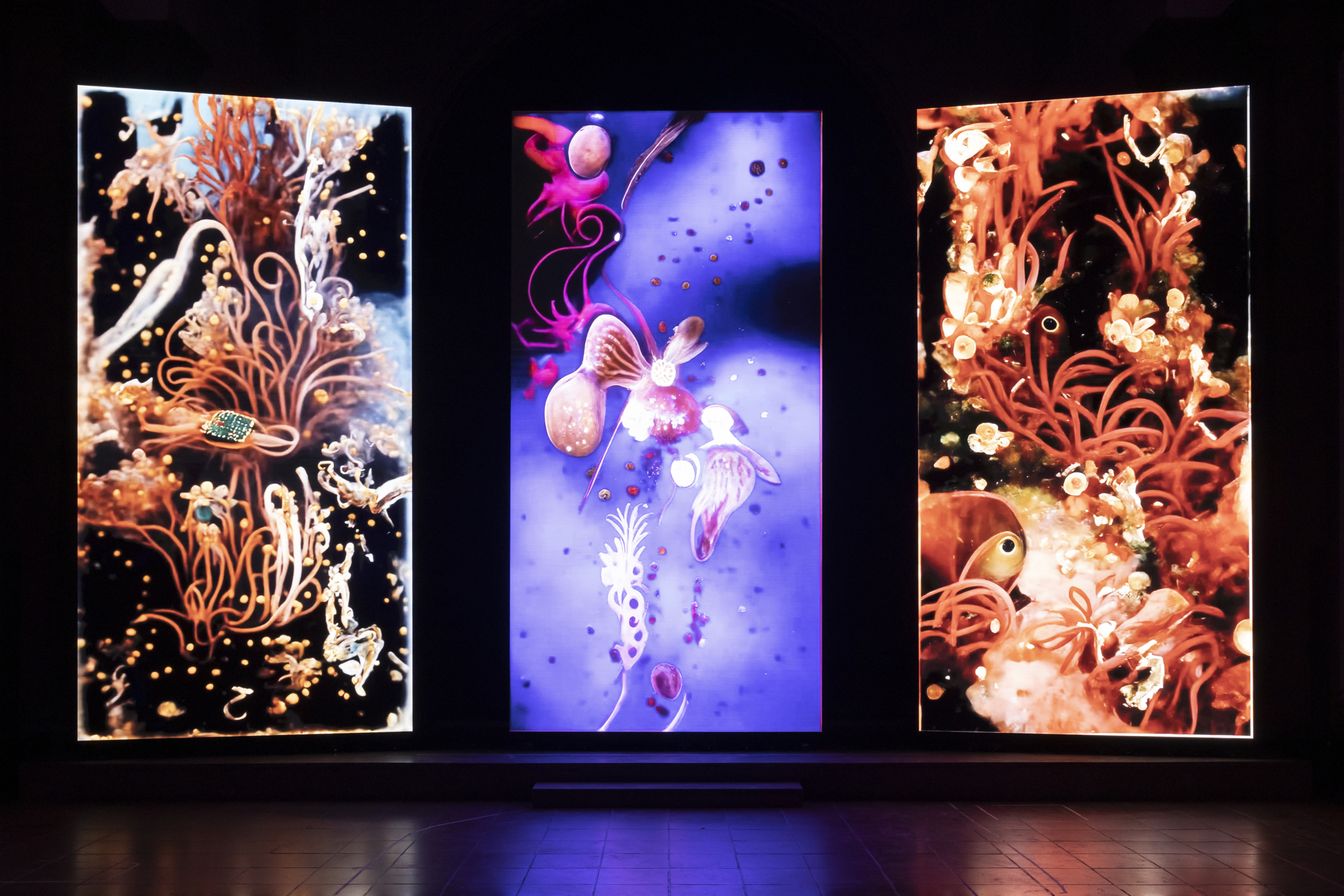 IMMERSIONE NELL'ABISSO | 29 Marzo 2026 - 15:00 | 6-10 anni