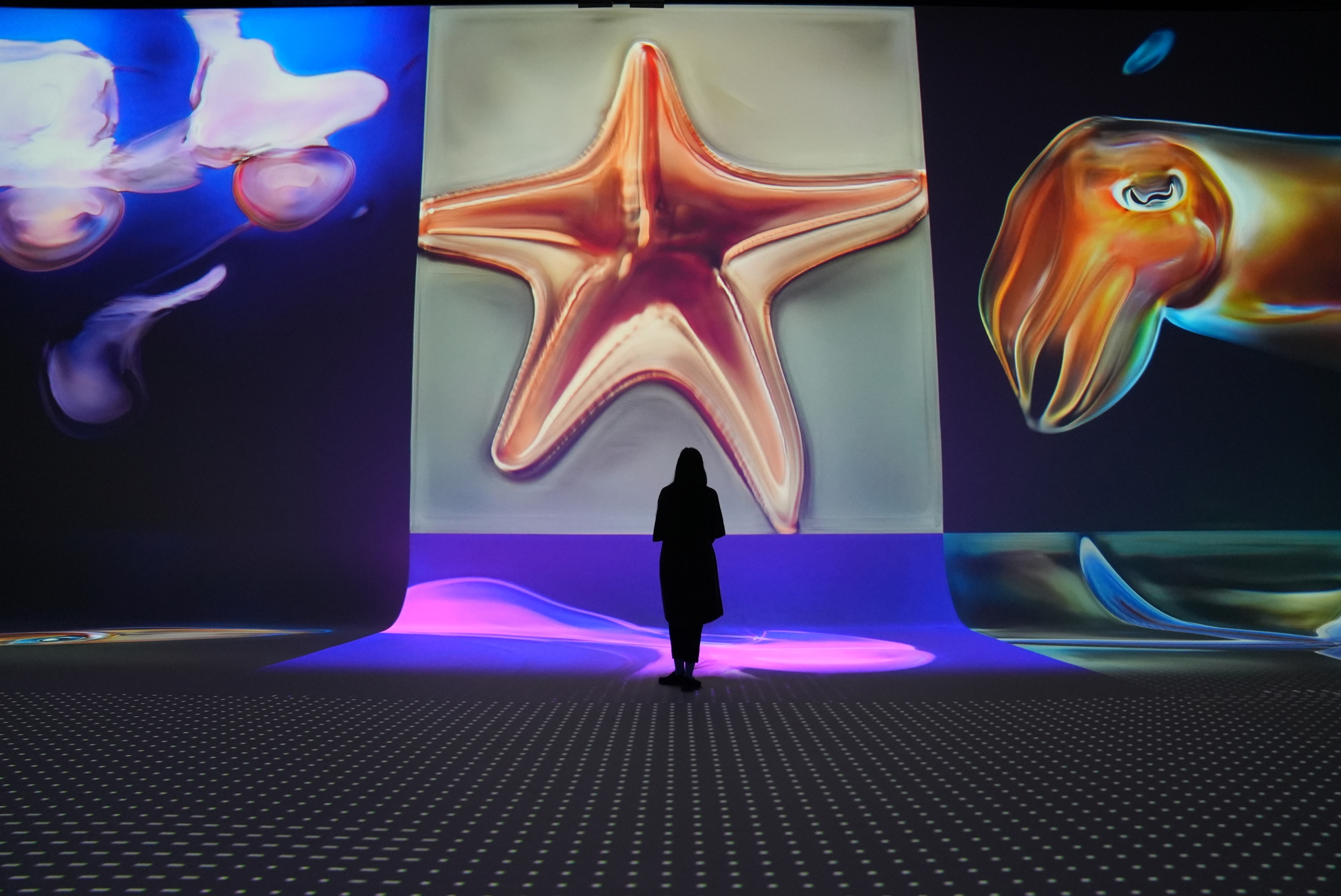 VOCI DAGLI ABISSI | 22 Febbraio 2026 - 15:00 | 6-10 anni